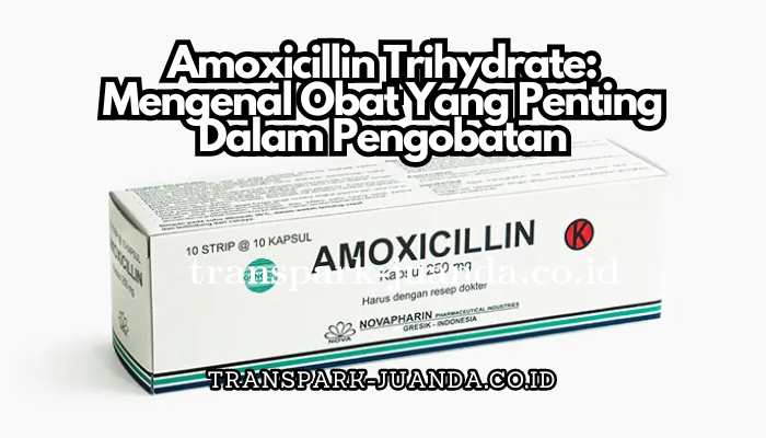Amoxicillin_Trihydrate_Mengenal_Obat_Yang_Penting_Dalam_Pengobatan.png