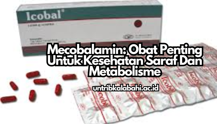 Mecobalamin_Obat_Penting_Untuk_Kesehatan_Saraf_Dan_Metabolisme.png