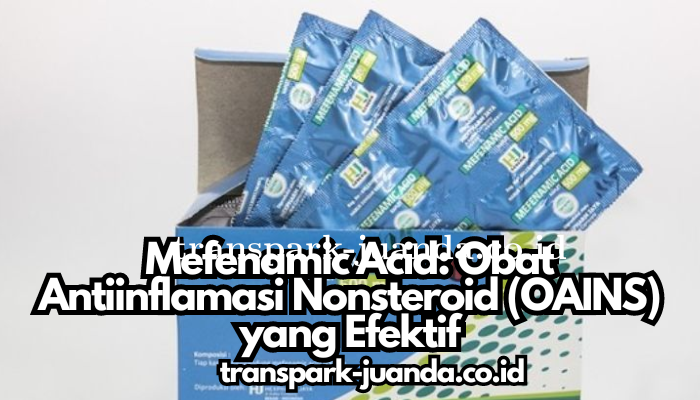 Mefenamic_Acid_Obat_Antiinflamasi_Nonsteroid_(OAINS)_yang_Efektif.png