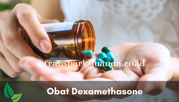 dexamethasone-obat-apa.png