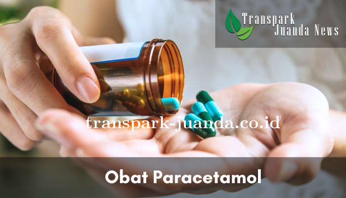 Obat Paracetamol Apa Kegunaannya Serta Manfaatnya Untuk Tubuh? 